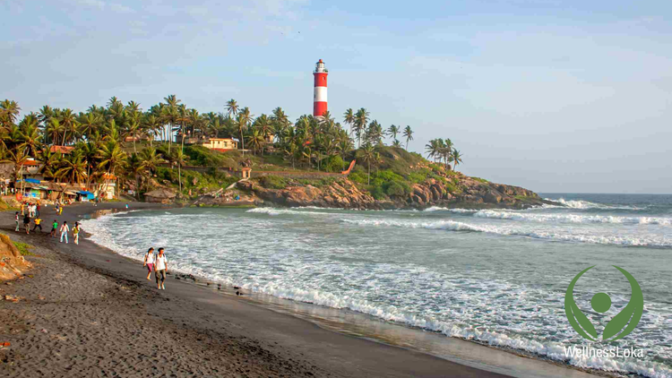 Top 4 Budget Beach Ayurveda Properties in Kerala